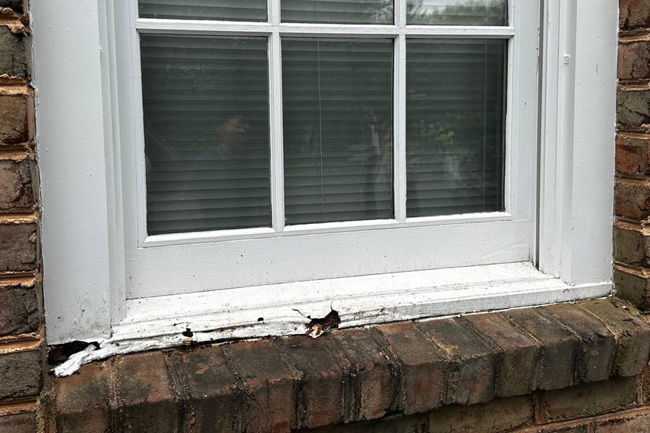 Professional Wood Window Repairing Services